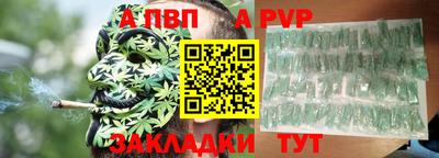 стаф Дубна