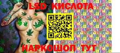 стаф Дубна
