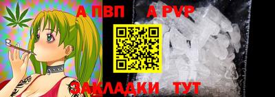 стаф Дубна