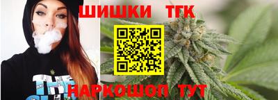 стаф Дубна