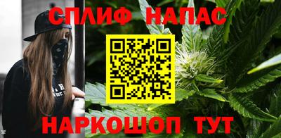 стаф Дубна